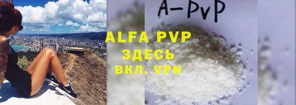 крисы Абаза