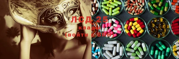 крисы Абаза