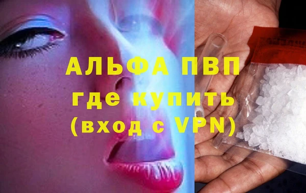 крисы Абаза