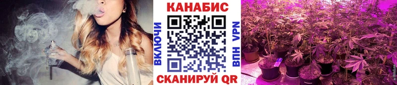 Каннабис планчик  Ливны 